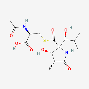 Chemical structure of Lactacystin