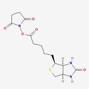 Chemical structure of NHS-Biotin