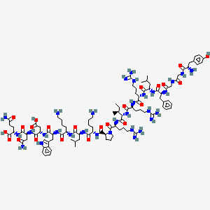 Chemical structure of Dynorphins