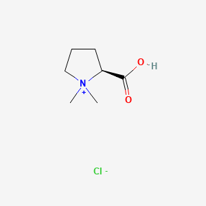 Chemical structure of Stachydrine Hydrochloride