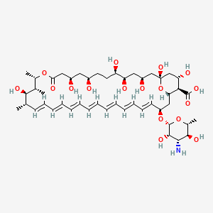 Chemical structure of Amphotericin B