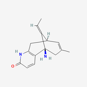 Chemical structure of Huperzine A