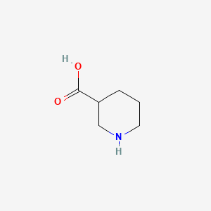 Chemical structure of Nipecotic Acid