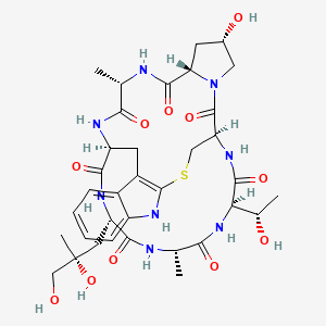 Chemical structure of Phalloidin