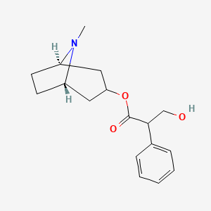 Chemical structure of Atropine