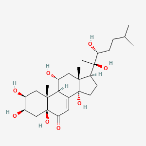 Chemical structure of Muristerone A