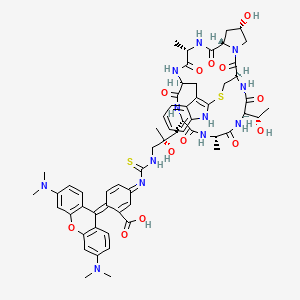 Chemical structure of TRITC Phalloidin