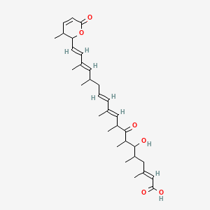 Chemical structure of Leptomycin A