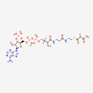 Chemical structure of methylmalonyl-CoA