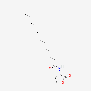 Chemical structure of (S)-N-tetradecanoyl-HSL