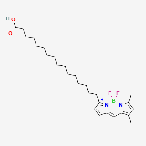 Chemical structure of BODIPY FL C16