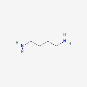 Chemical structure of Putrescine