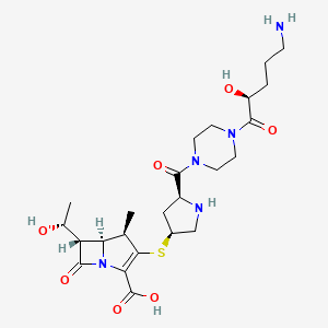 Chemical structure of NHS-12-Biotin