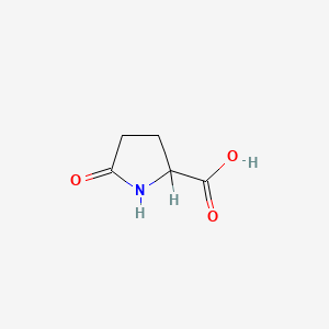 Chemical structure of DL-Pyroglutamic acid