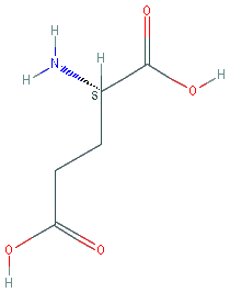 Chemical structure of γ-poly(L-glutamic acid) macromolecule