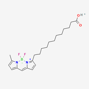 Chemical structure of BODIPY 500/510 C1, C12