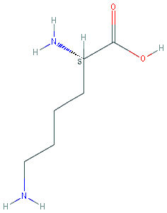 Chemical structure of Poly-(L-lysine)