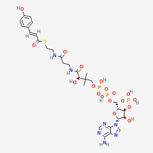 Chemical structure of p-Coumaryl-Coenzyme A