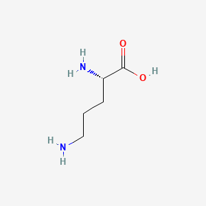 Chemical structure of L-(-)-Ornithine