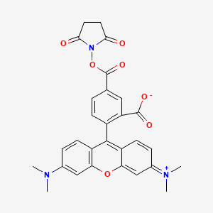 Chemical structure of 5-TAMRA-SE (5-TAMRA-NHS ester)