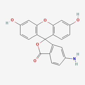 Chemical structure of 6-Aminofluorescein (6-AF)