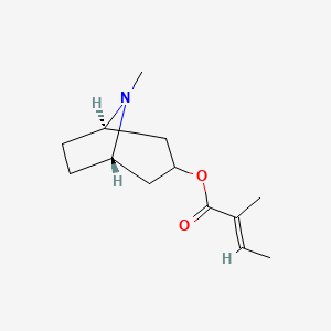 Chemical structure of Tigloidin (Tigloyl pseudotropine)
