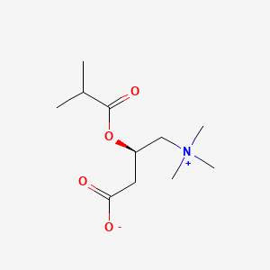 Chemical structure of Isobutyrylcarnitine