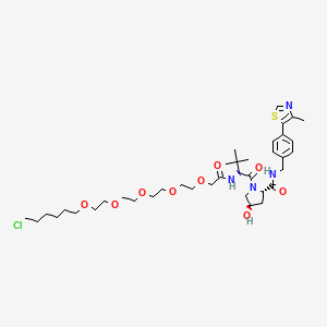Chemical structure of HaloPROTAC 2