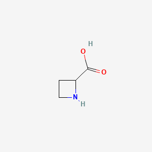 Chemical structure of Azetidinecarboxylic Acid