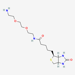 Chemical structure of Biotin PEG2 amine