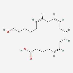 Chemical structure of 20-HETE