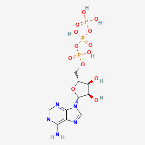 Chemical structure of ATP