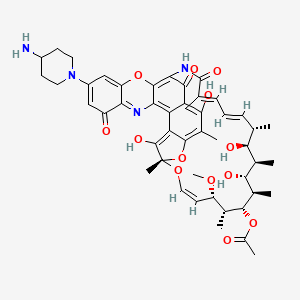 Chemical structure of DNA31