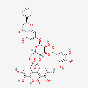 Chemical structure of Pinocembrin 7-O-[3''-O-galloyl-4'',6''-hexahydroxydiphenoyl]-β-D-glucoside