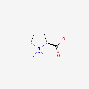 Chemical structure of Stachydrine