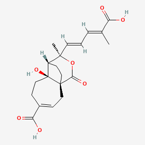 Chemical structure of Demethoxydeacetoxypseudolaric acid B analog