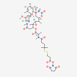 Chemical structure of DM4-SPDP