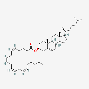 Chemical structure of Cholesteryl arachidonate
