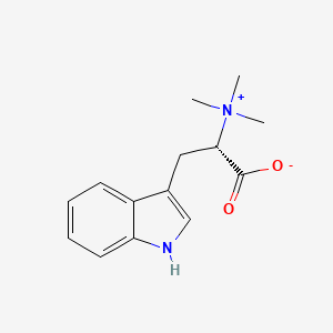 Chemical structure of Hypaphorine
