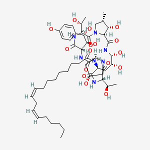 Chemical structure of Echinocandin B