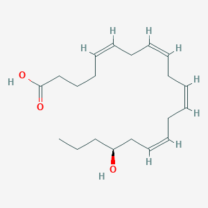 Chemical structure of 17(S)-HETE