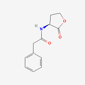 Chemical structure of N-phenylacetyl-L-Homoserine lactone