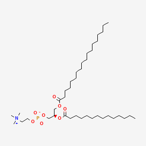 Chemical structure of 1-Stearoyl-2-myristoyl-sn-glycero-3-PC