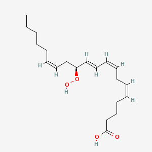 Chemical structure of 12(S)-HpETE