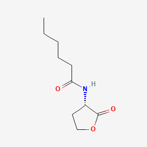 Chemical structure of N-hexanoyl-L-Homoserine lactone