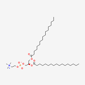 Chemical structure of 1,2-Diheptadecanoyl-sn-glycero-3-PC