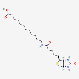 Chemical structure of 12:0 N-Biotinyl Fatty Acid