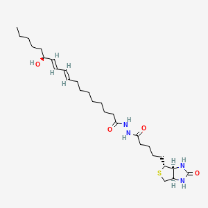 Chemical structure of 13(S)-HODE-biotin