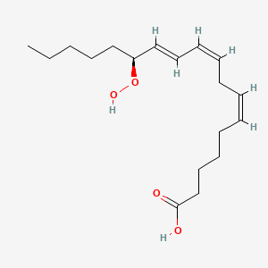 Chemical structure of 13(S)-HpOTrE(γ)