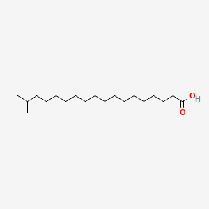 Chemical structure of 17-methyl Stearic Acid